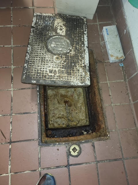 Grease Trap Cleaning Services in Lake Stevens sink cleaning